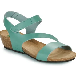 Dream in Green - ZIMINI