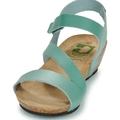 Dream in Green - ZIMINI