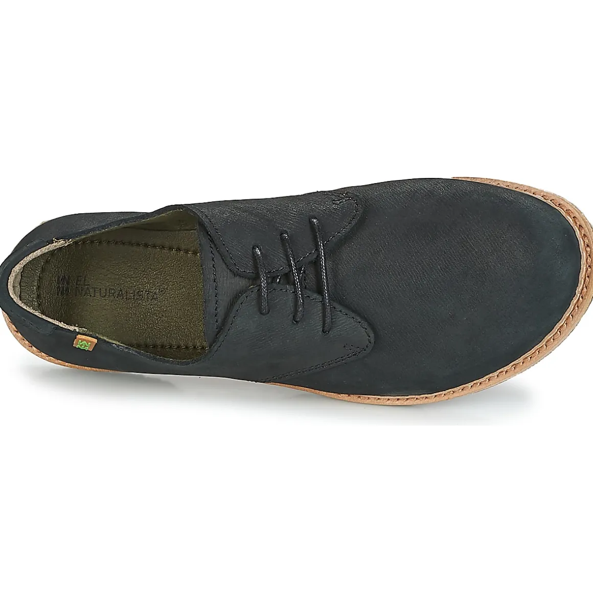 El Naturalista - ANGKOR