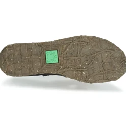 El Naturalista - ANGKOR N917