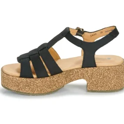 El Naturalista - ARBEQUINA