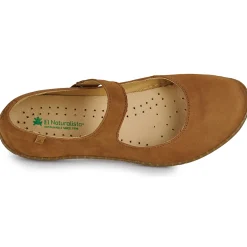 El Naturalista - CORAL N5301