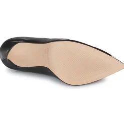 Fericelli - ALMUCEDI