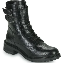 Fericelli - CALLIOPE