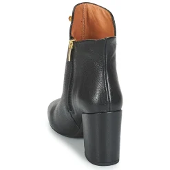 Fericelli - JATTIPALIA