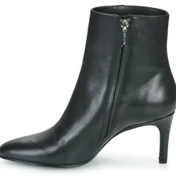 Freelance - STELLA 65