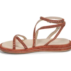 Fru.it - 6780-100-COLTO