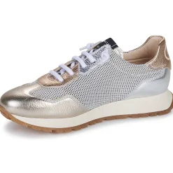 Hispanitas - KANSAS-CHV25386