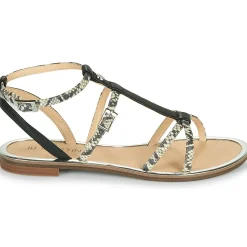 JB Martin - GRIOTTES