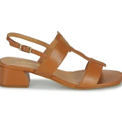 JB Martin - VIOLAINE