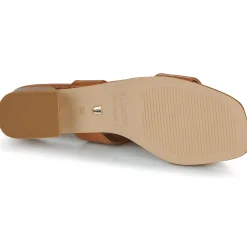 JB Martin - VIOLAINE