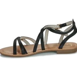 Les Petites Bombes - FIKEN