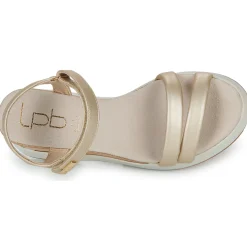 Les Petites Bombes - FIONA