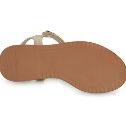 Les Petites Bombes - FIONA