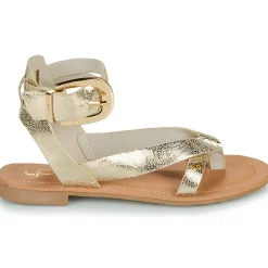 Les Petites Bombes - FIRMA