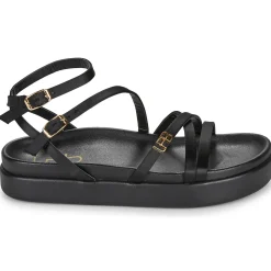 Les Petites Bombes - LEZINE