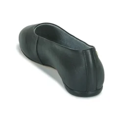 Martinelli - AMAZONAS 1575