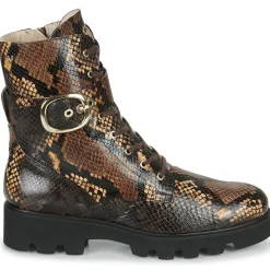 Martinelli - HERMOSILLA 1568