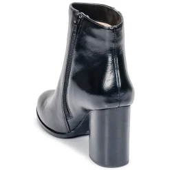 Mellow Yellow - CEANOTHE