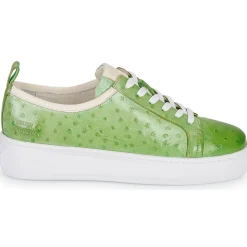 Melvin & Hamilton - AMBER 6