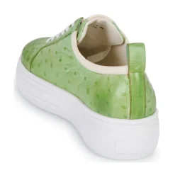 Melvin & Hamilton - AMBER 6