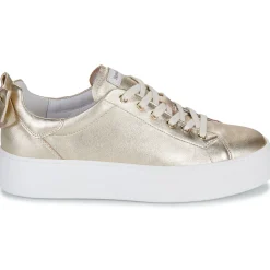 NeroGiardini - E513020D