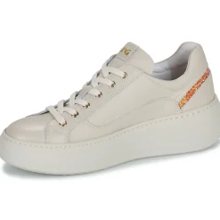 NeroGiardini - E513081D