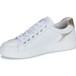 NeroGiardini - E513001D