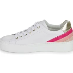 NeroGiardini - E409932D