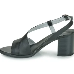 NeroGiardini - E410440D