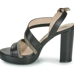 NeroGiardini - E410220D