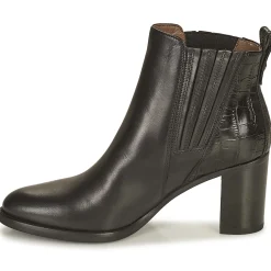 NeroGiardini - FENOUILO