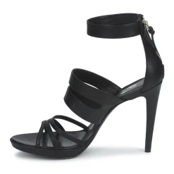 Paul & Joe - STARGATE