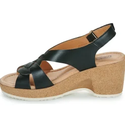 Pikolinos - ARENALES W3B