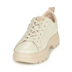 Pikolinos - ASTURIAS