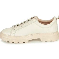 Pikolinos - ASTURIAS