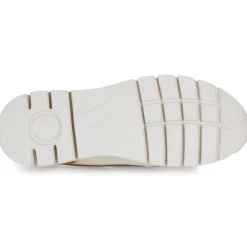 Pikolinos - ASTURIAS W9C