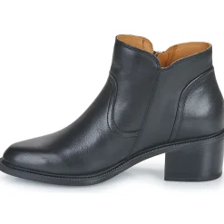 Pikolinos - BACAROT W2D