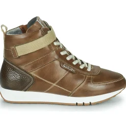 Pikolinos - BARCELONA