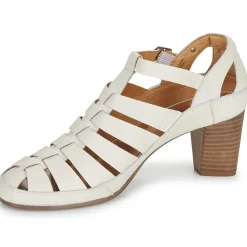 Pikolinos - CAMPELLO W4X