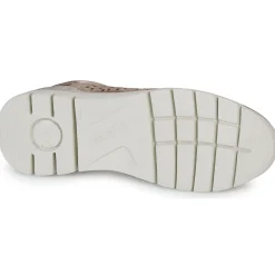 Pikolinos - CANTABRIA