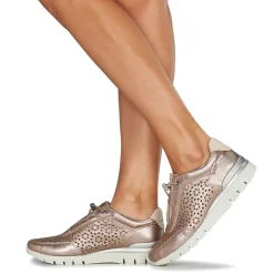 Pikolinos - CANTABRIA