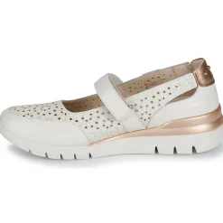 Pikolinos - CANTABRIA W4R