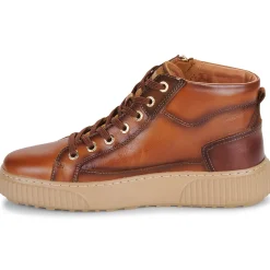 Pikolinos - RIELLS W4Z