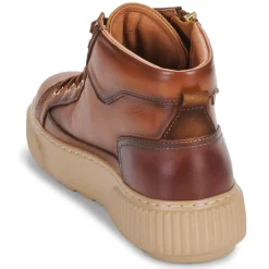 Pikolinos - RIELLS W4Z