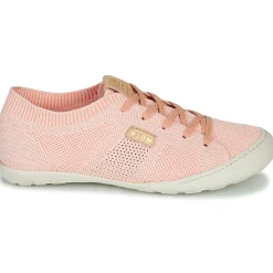 PLDM by Palladium - GLORIEUSE