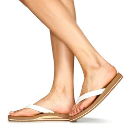 Reef - REEF CUSHION BREEZE