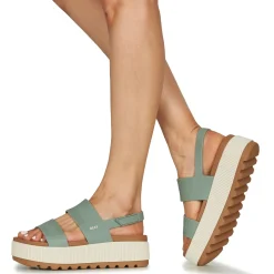 Reef - WATER VISTA HIGHER