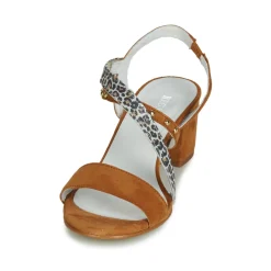 Regard - REFTA V1 ANTE CAMEL