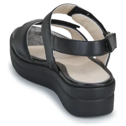 Stonefly - AQUA III 12